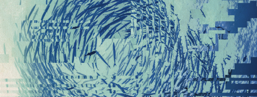 Mailvelope Pentest Audit