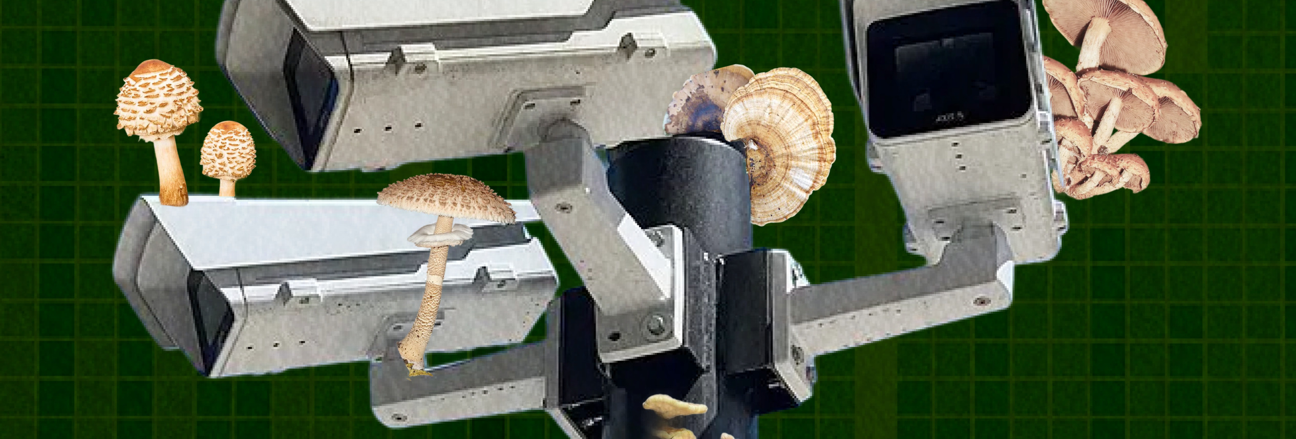 Workshop: Cybersecurity, an approach to protecting digital materials, strikes and assemblies